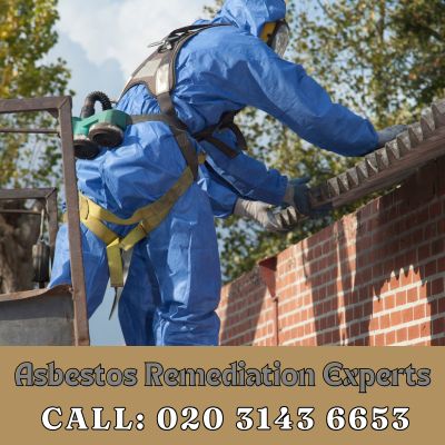 Asbestos Remediation Experts South Croydon