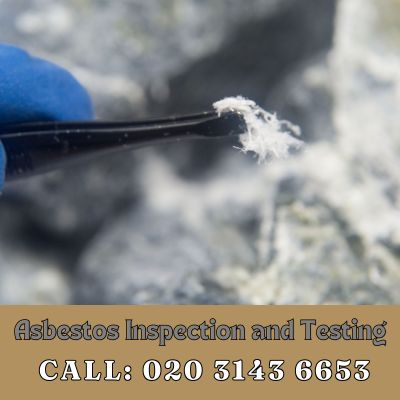 Comprehensive Asbestos Inspection and Testing Services in South Croydon